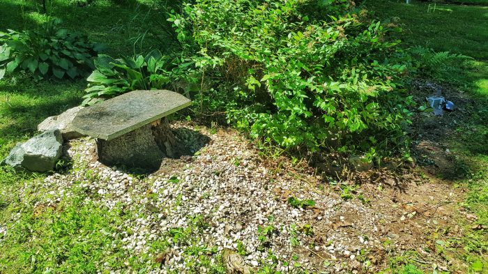 7 Steps to Grow Your Dream Garden