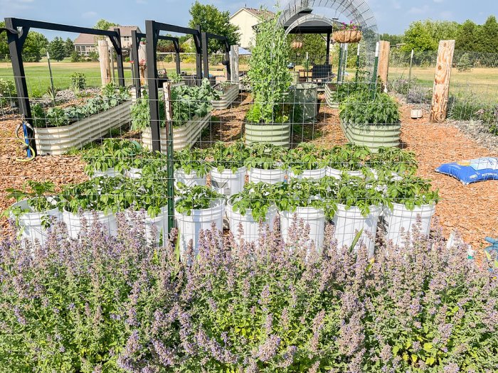 Garden dream win grow save