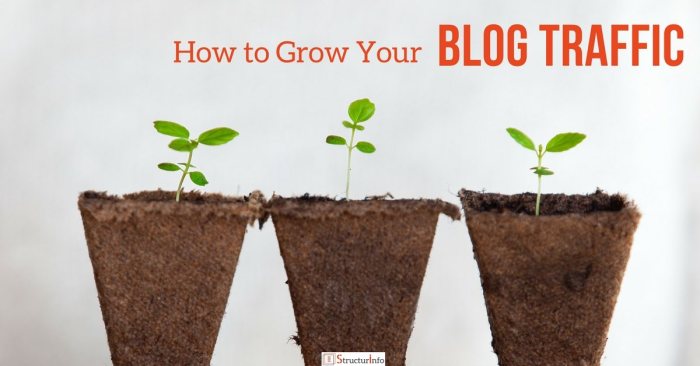 10 Expert Tips to Grow Your Blog Traffic