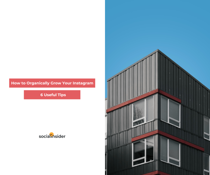 7 Steps to Grow Your Instagram Followers Organically