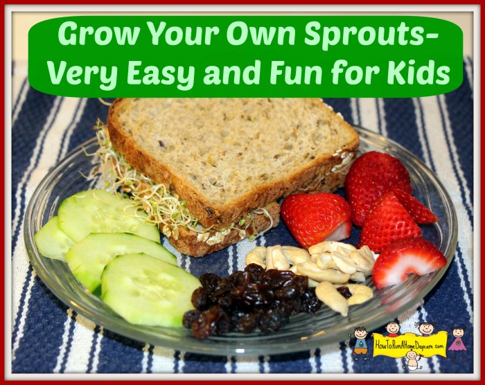 2 Easy Recipes to Grow Your Own Sprouts