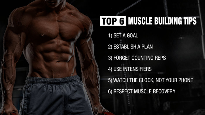 4 Simple Exercises to Grow Your Muscle Mass