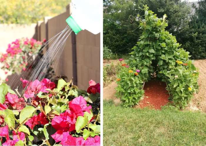 3 Creative Ideas to Grow Your Garden This Spring