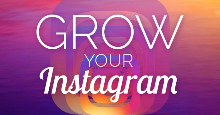7 Steps to Grow Your Instagram Followers Organically