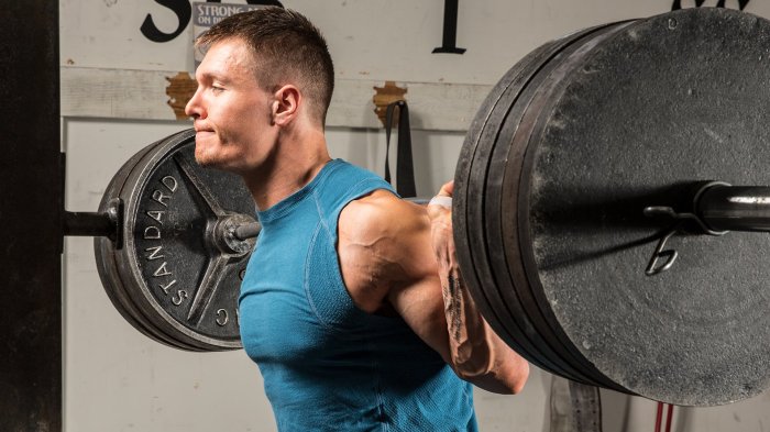 Growth muscle important most routine effective exercises minutes reading time Growth muscle important most routine effective exercises minutes reading time