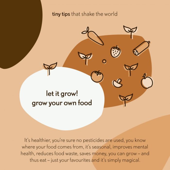 3 Steps to Grow Your Own Food in a Small Space