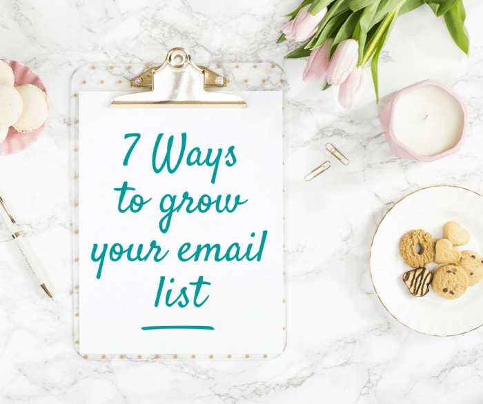 7 Tips to Grow Your Email List Quickly