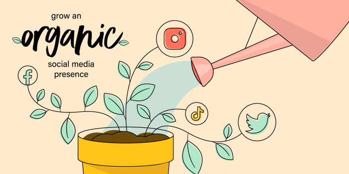 6 Tips to Grow Your Business on Social Media Organically