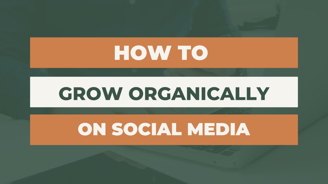 6 Tips to Grow Your Business on Social Media Organically