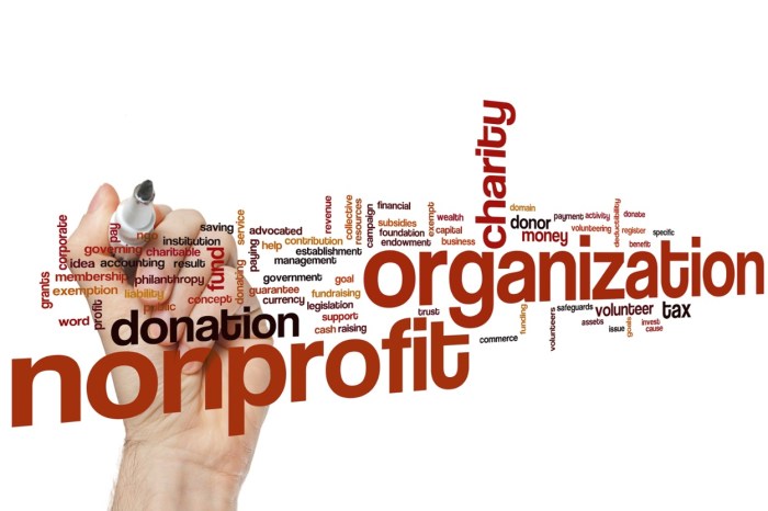 5 Key Strategies to Grow Your Non-profit Organization