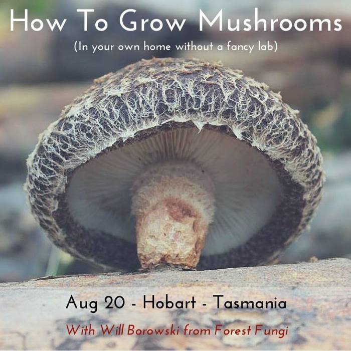 3 Simple Ways to Grow Your Own Mushrooms
