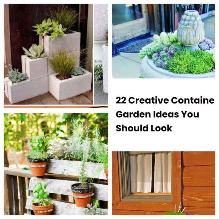 3 Creative Ideas to Grow Your Garden in Containers