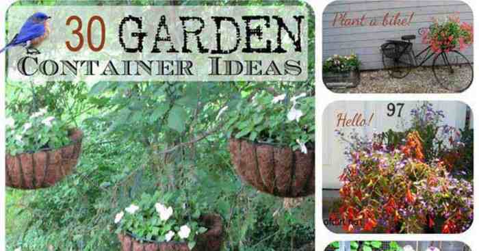3 Creative Ideas to Grow Your Garden in Containers