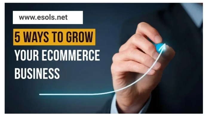 5 Must-Know Tips to Grow Your E-commerce Store
