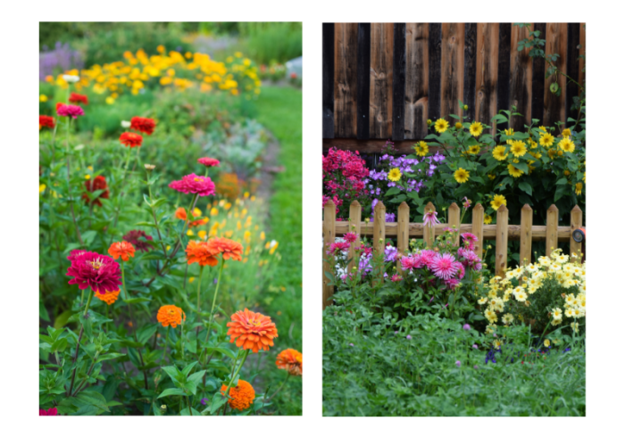 4 Easy Gardening Tips to Grow Your Own Flowers