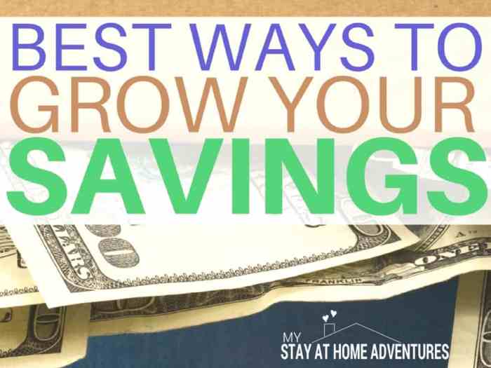 4 Easy Ways to Grow Your Savings with Compound Interest