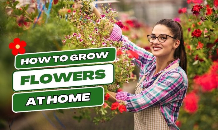 4 Easy Gardening Tips to Grow Your Own Flowers