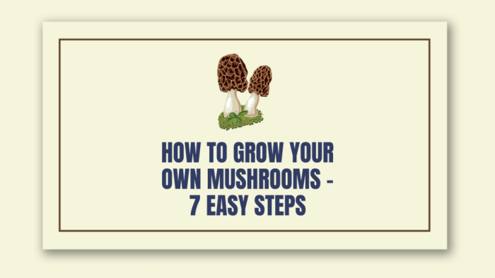 Easiest grow Easiest grow