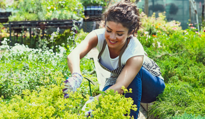 5 Simple Ways to Grow Your Own Food in an Apartment