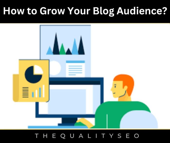 Audience growing starting tips blog